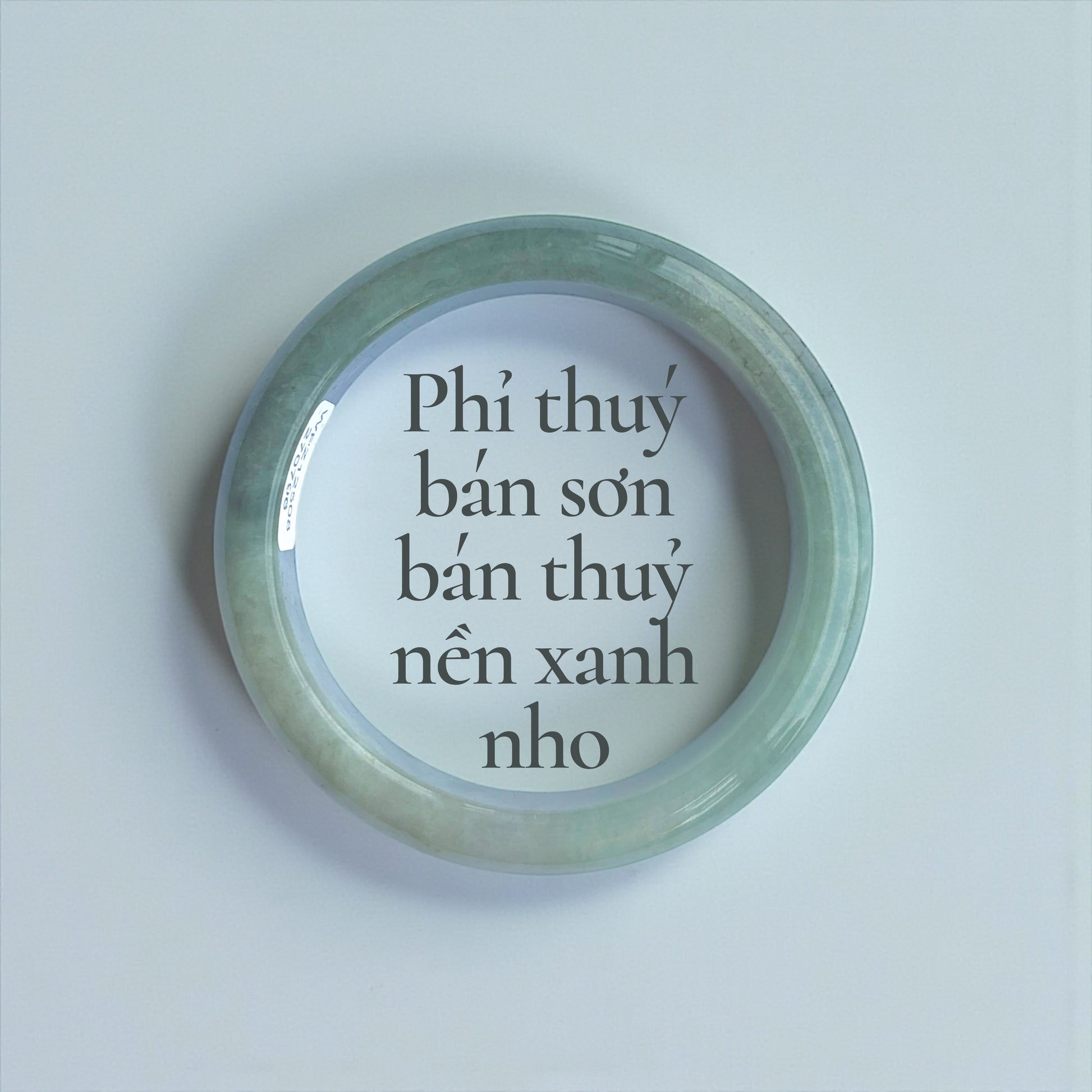 Phỉ thuý bán sơn bán thuỷ nền xanh nho bản hẹ ni 53 - Half-Mountain, Half-Water Jadeite with Grape-Green Base 53mm