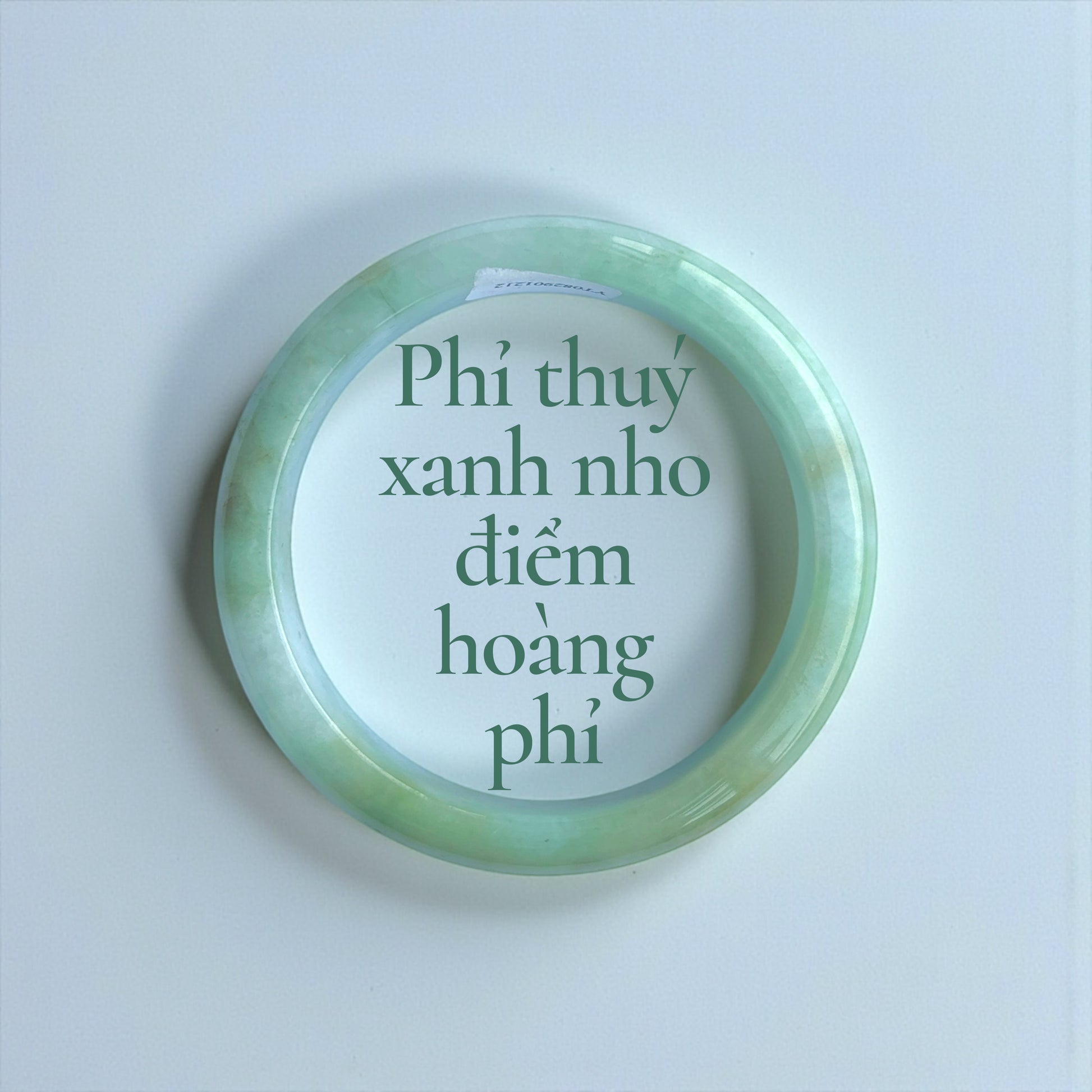 Phỉ thuý xanh nho điểm hoàng phỉ ni 54 - Grape-Green Jadeite with Yellow Accents 54mm