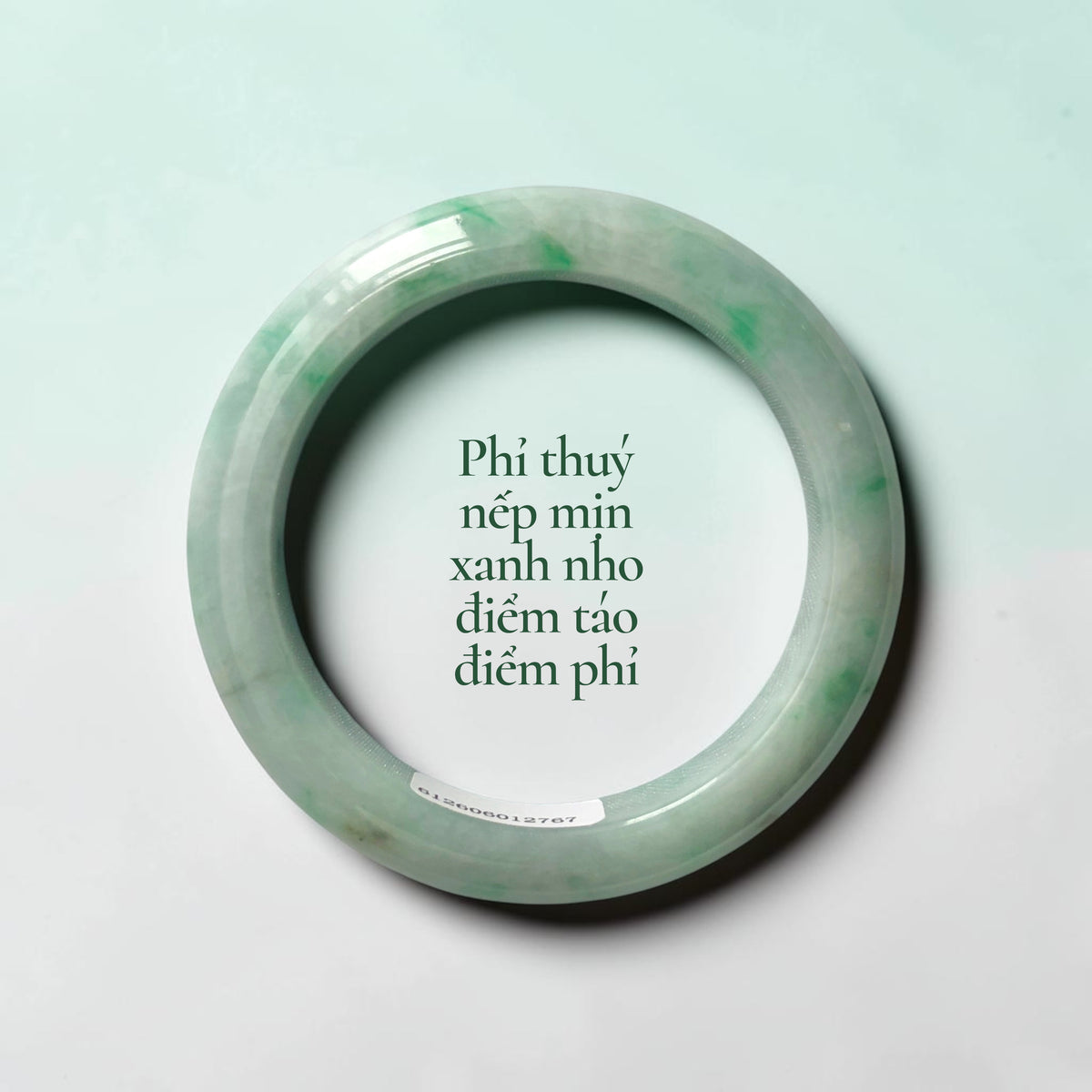Phỉ thuý nếp mịn xanh nho điểm táo điểm phỉ - Fine-textured grape-green jadeite with apple-green and purple jadeite accents
